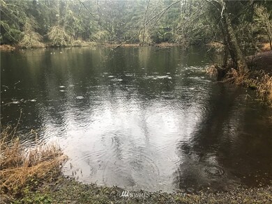 22237 Bluewater Dr SE, Yelm, WA 98597 - photo 6