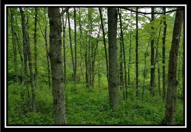 image025