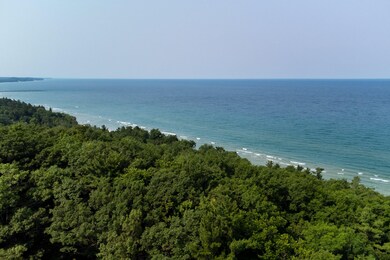 0 Pine Run Dr unit 21027042, Onekama, MI 49675 - photo 6