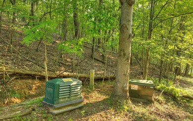 31 Grant Ln, Mineral Bluff, GA 30559 - photo 7