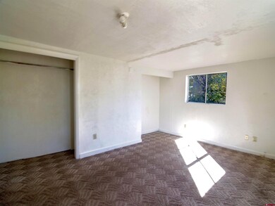 402 N Beech St, Cortez, CO 81321 - photo 4
