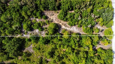 11630 Shawnee Rd, Fort Myers, FL 33913 - photo 5