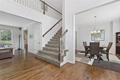 Designer Stair Carpet