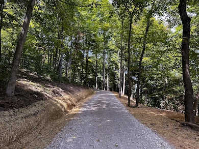 0 Parkinson Rd unit (Tract 8 at Titus), Dexter, OH 45741 - photo 5