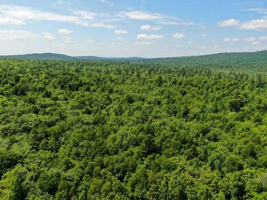 21 Spruce Point Rd, Lowell, ME 04493 - photo 3