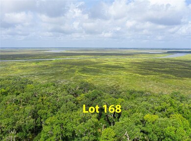 41 Hatton Ln, Saint Simons Island, GA 31522 - photo 3