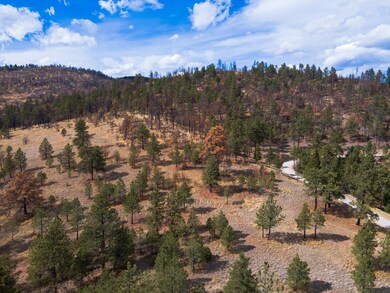 6978 Black Sandy Loop-04