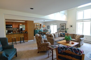 4 High Meadow Rd, Winhall, VT 05155 - photo 3