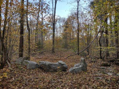 0 Milltown Rd unit RTC2453689, Lewisburg, TN 37091 - photo 7