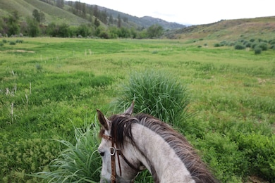 734 Tunk Creek Rd, Riverside, WA 98849 - photo 7