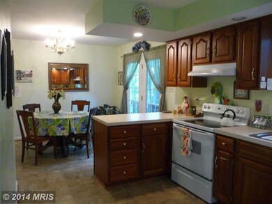 7349 Eggbornsville Rd, Rixeyville, VA 22737 - photo 7