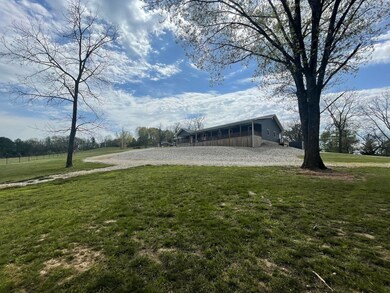 IMG_1004 2