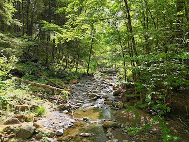 32 Hunter Brook Rd, Newfane, VT 05351 - photo 6