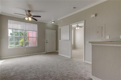 Full View of Unit - Reverse View