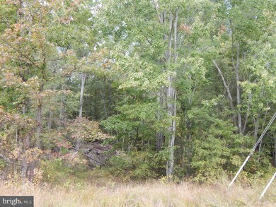 6509 Lawyers Rd, Spotsylvania, VA 22551 - photo 6