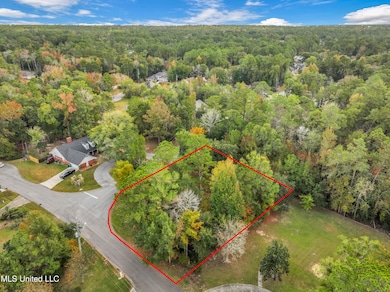 8372 Maunalani Place, Diamondhead, MS 39525 - photo 2