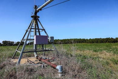 Pullen Rd, Damascus, GA 39841 - photo 2