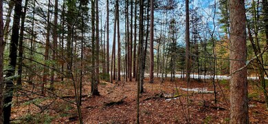 On Mishonagon Way, Lac Du Flambeau, WI 54538 - photo 4