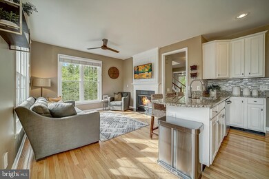 13 Honey Locust Ct, Lafayette Hill, PA 19444 - photo 4