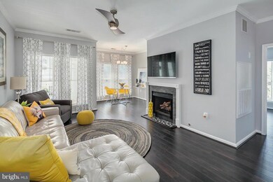 1515 N Point Dr unit 304, Reston, VA 20194 - photo 3