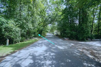 000 Sable St, Walterboro, SC 29488 - photo 6