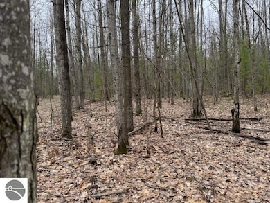 VL W Gaukel Rd, Forest Township, MI 49651 - photo 3