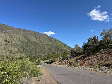 IMG_8205