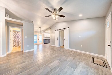 living room with vaulted ceiling (1)