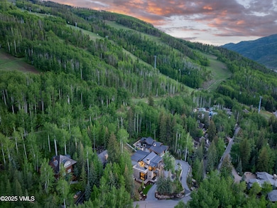 2506_366_forest_summer_aerial_g