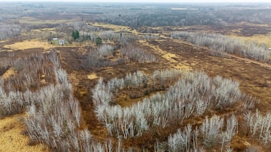 TBD (Parcel C) Olson Rd, Dell Grove Township, MN 55037 - photo 5