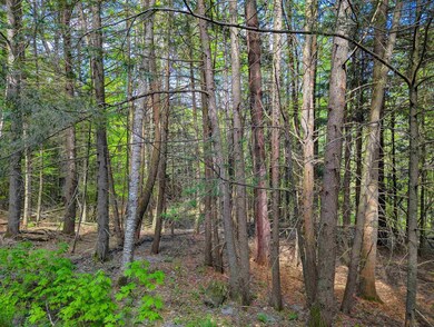 14 Brickyard Rd, Dover, VT 05341 - photo 6