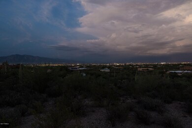 Night Shot 8