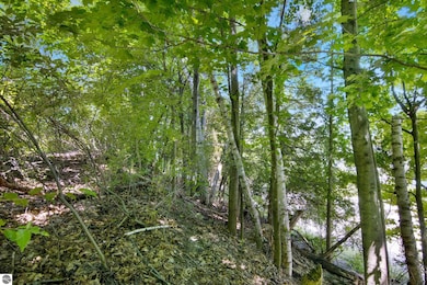 Lot 27 Bunker Hill Rd, Williamsburg, MI 49690 - photo 5