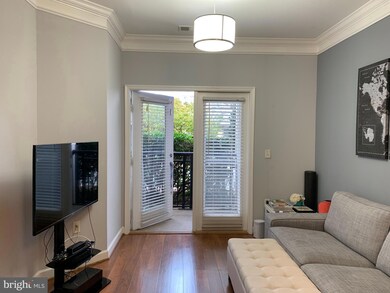 The Fitz at Rockville Town Center, Rockville, MD 20850 - photo 6