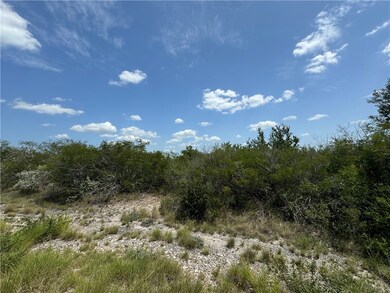 000 Deer Run Trace, Three Rivers, TX 78071 - photo 3