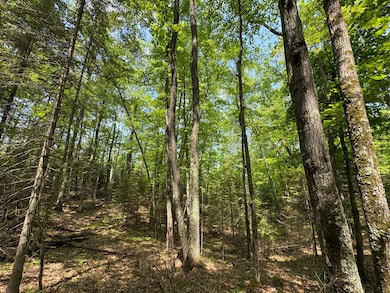 Lot 127 Woodhill Ct, Minocqua, WI 54548 - photo 6