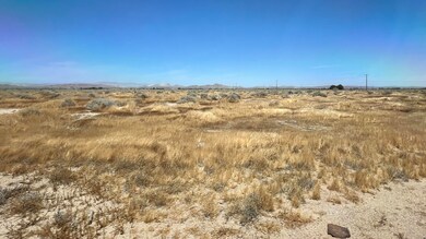 IMG_7738
