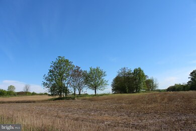 0 Not On File unit 1002424084, Berryville, VA 22611 - photo 5