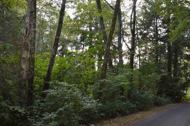 0 Pennsylvania St unit 709527, Bay City, OR 97107 - photo 4