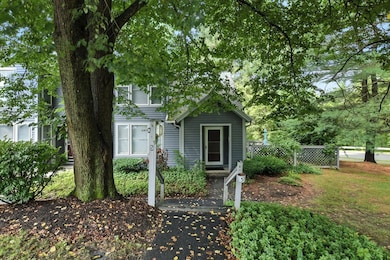 5 Amity Place, Amherst, MA 01002 - photo 2