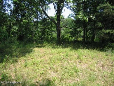 00 Knobview Ave, Lebanon Junction, KY 40150 - photo 3