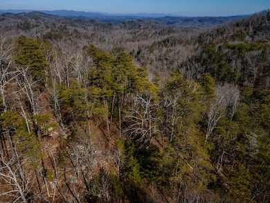 4.78 Ac Bell Ct, Ranger, GA 30701 - photo 7