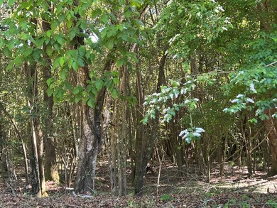 0 University Ave unit 25726, Troy, GA 30681 - photo 6