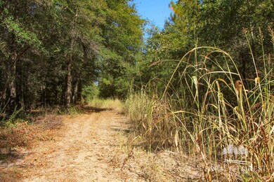 unlisted-address, Caryville, FL 32427 - photo 7