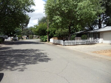 Lovely older neighborhood
