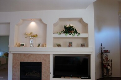 Fireplace & TV niche