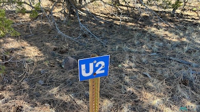 TBD Paradise Loop, Quemado, NM 87829 - photo 2