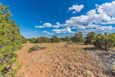 TBD Twin Lake Ranches Lot 140, Walsenburg, CO 81089 - photo 7