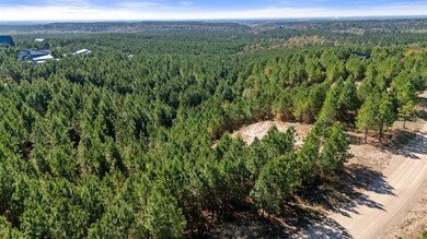 286 Legacy Ridge Trail, Broken Bow, OK 74728 - photo 4