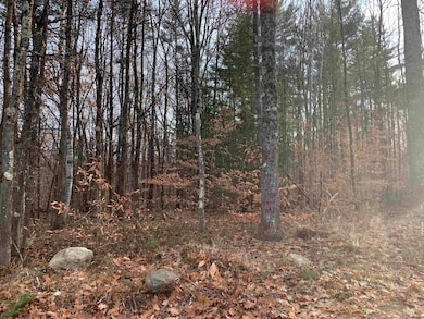 32 Neal Hill Rd, Center Tuftonboro, NH 03816 - photo 4